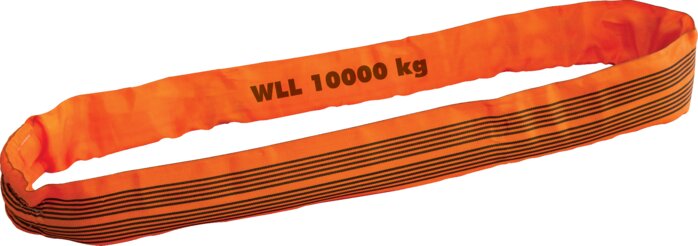 Exemplary representation: Round sling (WLL 10000 kg)